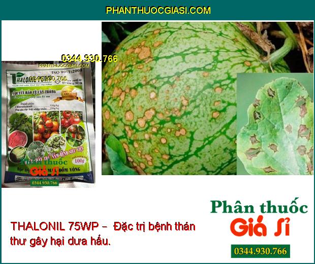 THALONIL 75WP –  ĐẶC TRỊ NẤM BỆNH -BẢO VỆ CÂY TRỒNG