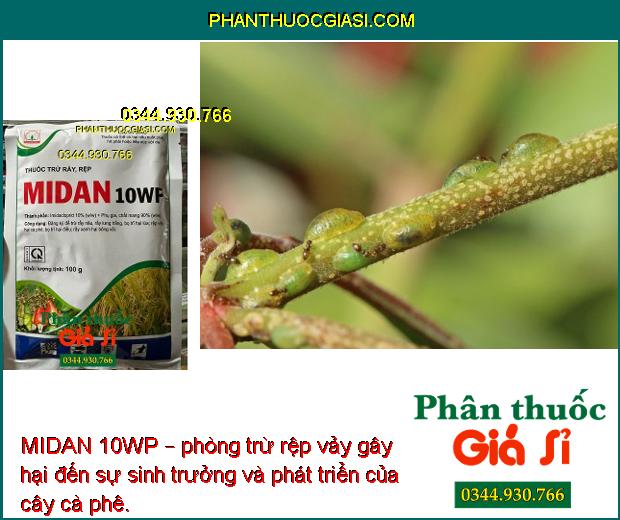 MIDAN 10WP – THUỐCTRỪ RẦY NÂU - BỌ TRĨ - RỆP SÁP GÂY HẠI CÂY TRỒNG