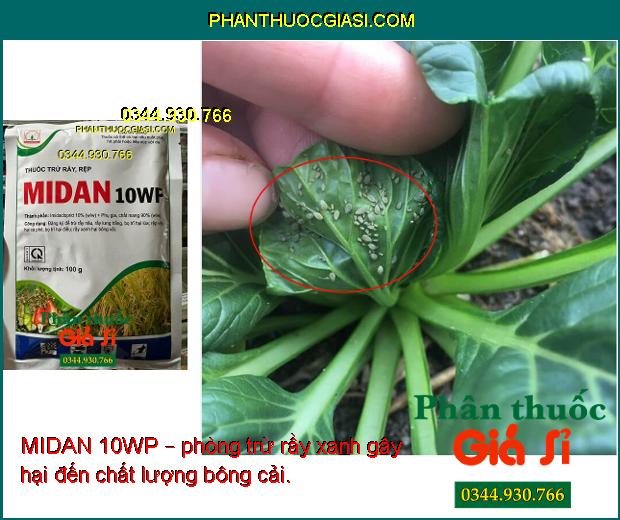 MIDAN 10WP – THUỐCTRỪ RẦY NÂU - BỌ TRĨ - RỆP SÁP GÂY HẠI CÂY TRỒNG