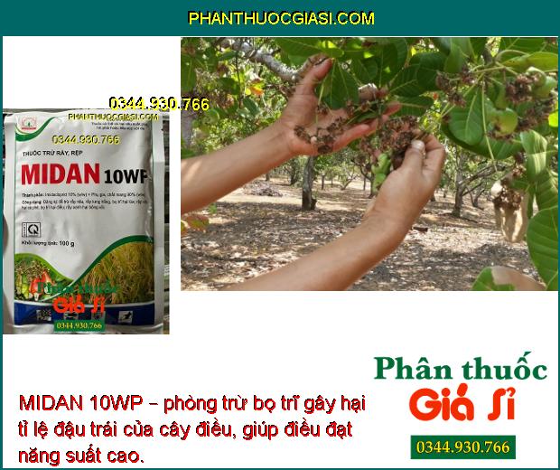 MIDAN 10WP – THUỐCTRỪ RẦY NÂU - BỌ TRĨ - RỆP SÁP GÂY HẠI CÂY TRỒNG