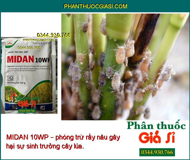 MIDAN 10WP – THUỐCTRỪ RẦY NÂU - BỌ TRĨ - RỆP SÁP GÂY HẠI CÂY TRỒNG