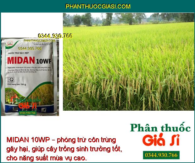 MIDAN 10WP – THUỐCTRỪ RẦY NÂU - BỌ TRĨ - RỆP SÁP GÂY HẠI CÂY TRỒNG