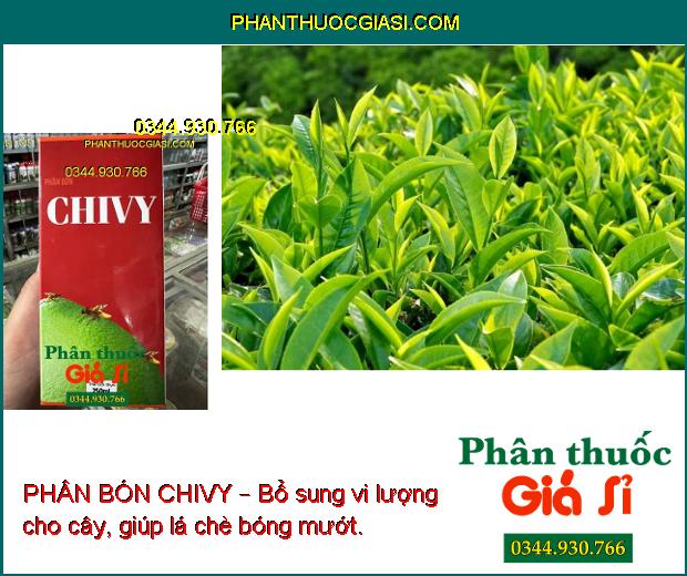 PHÂN BÓN CHIVY – BỔ SUNG VI LƯỢNG CHO CÂY TRỒNG 