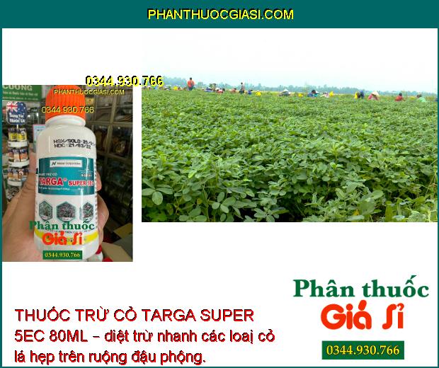 THUỐC TRỪ CỎ TARGA SUPER 5EC 80ML – CHUYÊN TRỪ CỎ LÁ HẸP TRÊN CÂY TRỒNG LÁ RỘNG