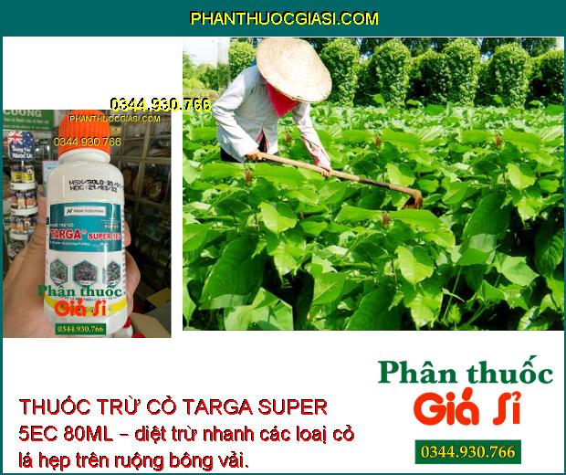 THUỐC TRỪ CỎ TARGA SUPER 5EC 80ML – CHUYÊN TRỪ CỎ LÁ HẸP TRÊN CÂY TRỒNG LÁ RỘNG