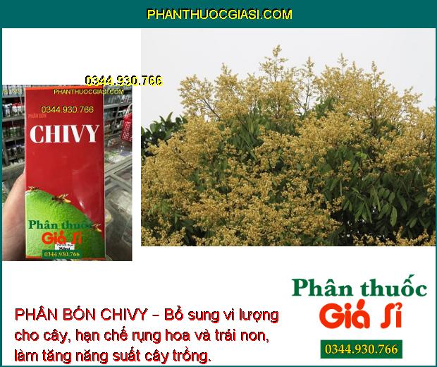 PHÂN BÓN CHIVY – BỔ SUNG VI LƯỢNG CHO CÂY TRỒNG 