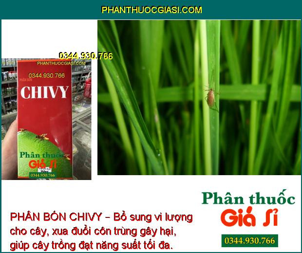 PHÂN BÓN CHIVY – BỔ SUNG VI LƯỢNG CHO CÂY TRỒNG 