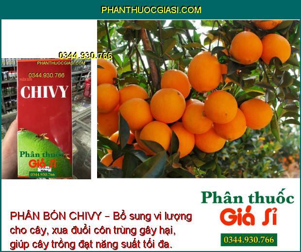 PHÂN BÓN CHIVY – BỔ SUNG VI LƯỢNG CHO CÂY TRỒNG 