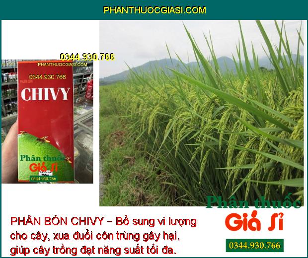 PHÂN BÓN CHIVY – BỔ SUNG VI LƯỢNG CHO CÂY TRỒNG 