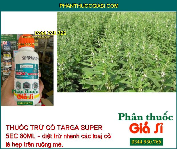 THUỐC TRỪ CỎ TARGA SUPER 5EC 80ML – CHUYÊN TRỪ CỎ LÁ HẸP TRÊN CÂY TRỒNG LÁ RỘNG