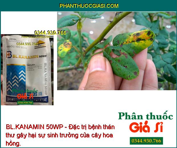 BL.KANAMIN 50WP - ĐẶC TRỊ NẤM - VI KHUẨN GÂY BỆNH