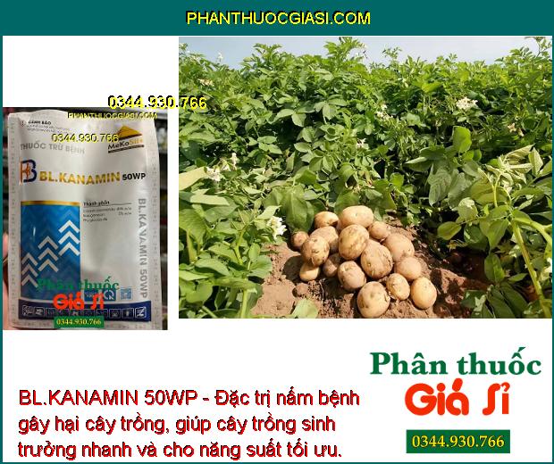 BL.KANAMIN 50WP - ĐẶC TRỊ NẤM - VI KHUẨN GÂY BỆNH