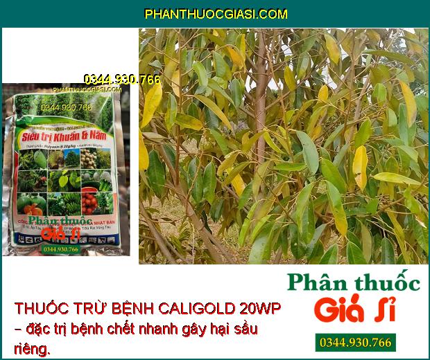 THUỐC TRỪ BỆNH CALIGOLD 20WP – SIÊU TRỊ KHUẨN VÀ NẤM HẠI CÂY TRỒNG