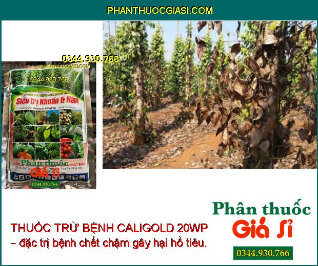 THUỐC TRỪ BỆNH CALIGOLD 20WP – SIÊU TRỊ KHUẨN VÀ NẤM HẠI CÂY TRỒNG