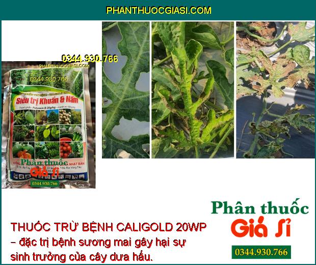 THUỐC TRỪ BỆNH CALIGOLD 20WP – SIÊU TRỊ KHUẨN VÀ NẤM HẠI CÂY TRỒNG