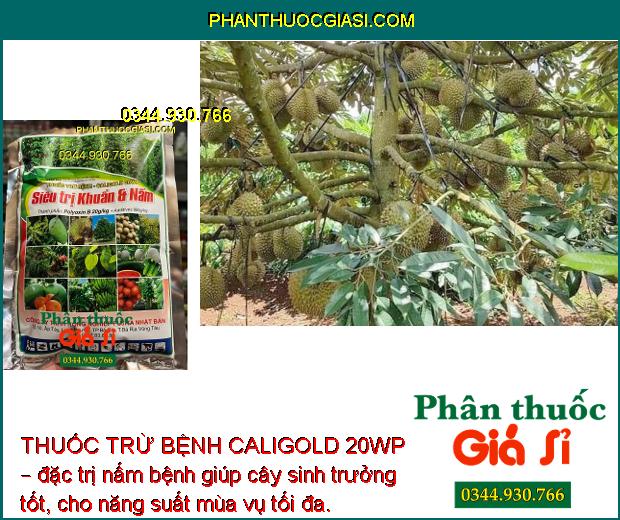 THUỐC TRỪ BỆNH CALIGOLD 20WP – SIÊU TRỊ KHUẨN VÀ NẤM HẠI CÂY TRỒNG