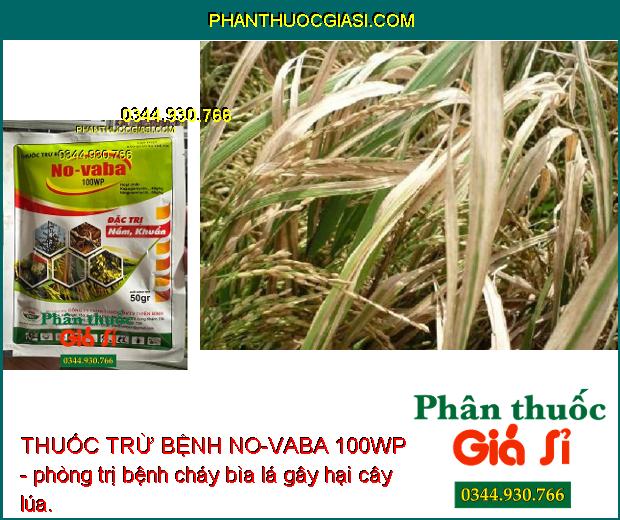 THUỐC TRỪ BỆNH NO-VABA 100WP -ĐẶC TRỊ NẤM - VI KHUẨN HẠI CÂY TRỒNG