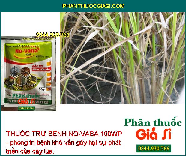 THUỐC TRỪ BỆNH NO-VABA 100WP -ĐẶC TRỊ NẤM - VI KHUẨN HẠI CÂY TRỒNG