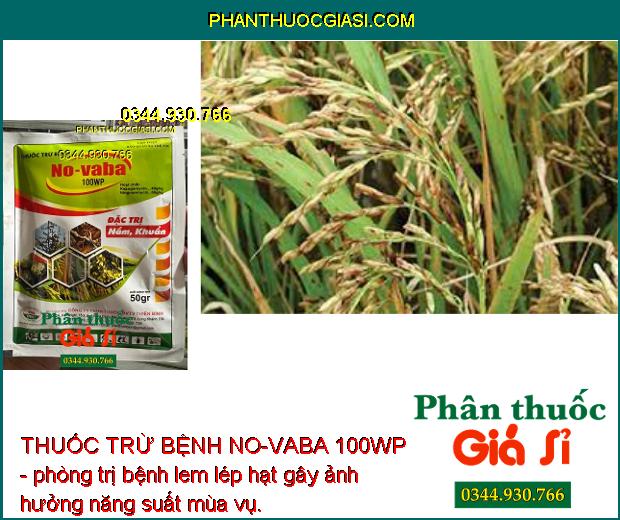 THUỐC TRỪ BỆNH NO-VABA 100WP -ĐẶC TRỊ NẤM - VI KHUẨN HẠI CÂY TRỒNG