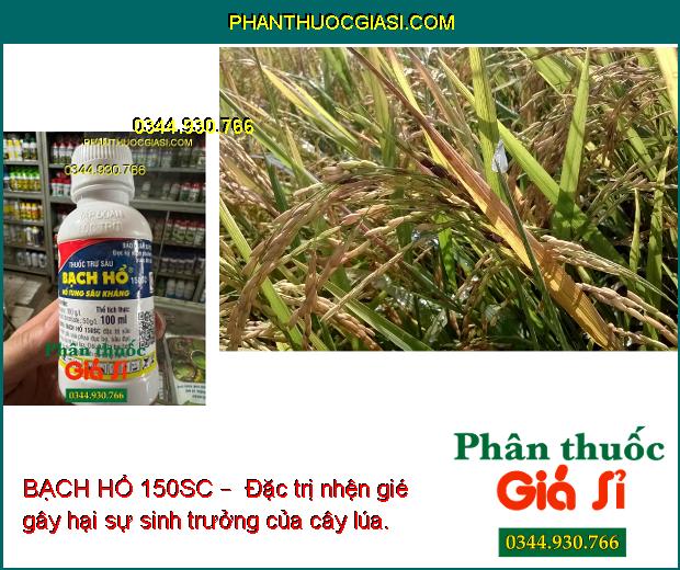 BẠCH HỔ 150SC –  ĐẶC TRỊ CÁC LOẠI SÂU GÂY HẠI CÂY TRỒNG