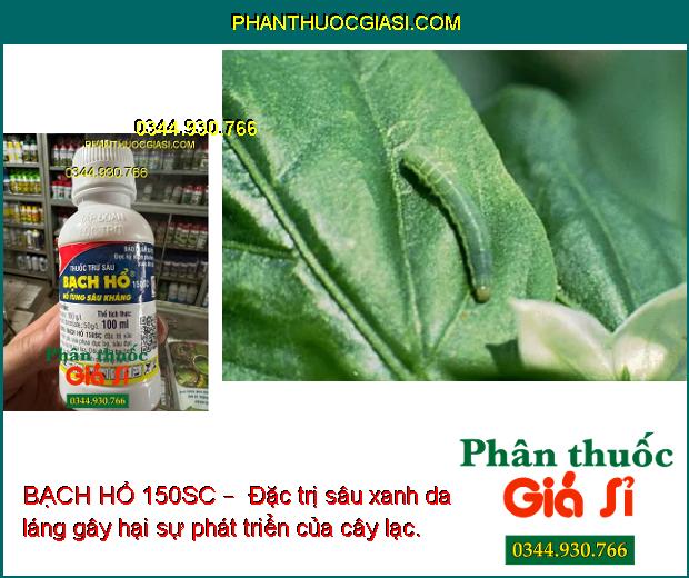 BẠCH HỔ 150SC –  ĐẶC TRỊ CÁC LOẠI SÂU GÂY HẠI CÂY TRỒNG