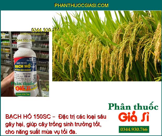 BẠCH HỔ 150SC –  ĐẶC TRỊ CÁC LOẠI SÂU GÂY HẠI CÂY TRỒNG