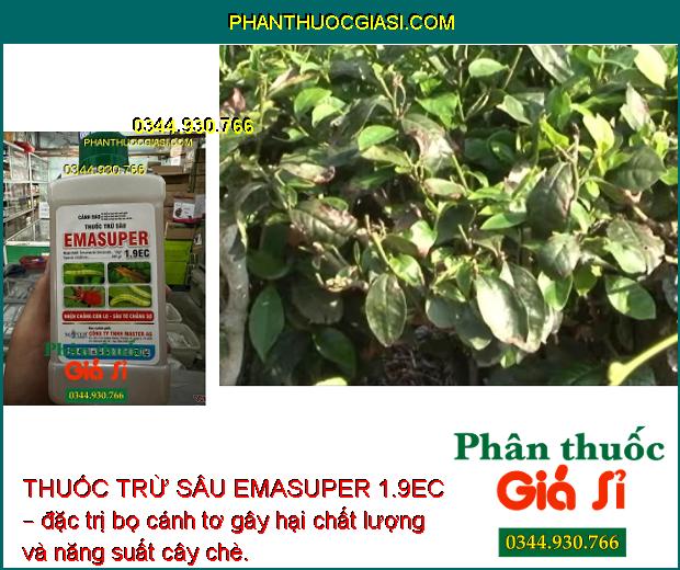 THUỐC TRỪ SÂU EMASUPER 1.9EC – ĐẶC TRỊ SÂU - NHỆN HẠI CÂY TRỒNG 