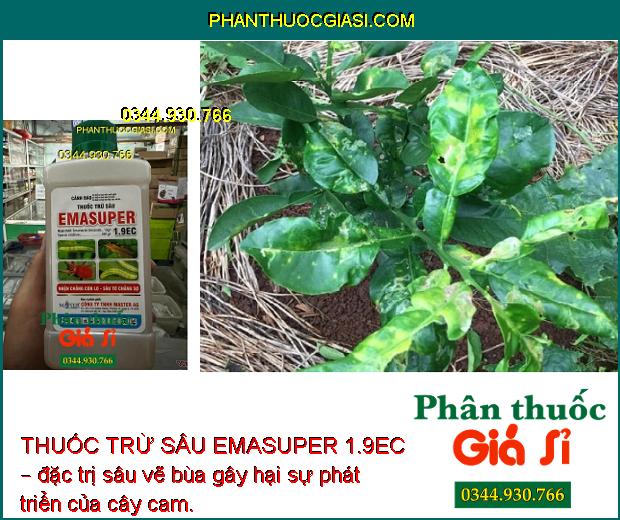 THUỐC TRỪ SÂU EMASUPER 1.9EC – ĐẶC TRỊ SÂU - NHỆN HẠI CÂY TRỒNG 