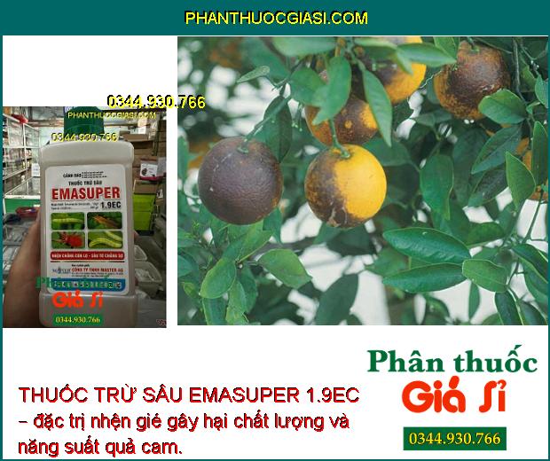 THUỐC TRỪ SÂU EMASUPER 1.9EC – ĐẶC TRỊ SÂU - NHỆN HẠI CÂY TRỒNG 