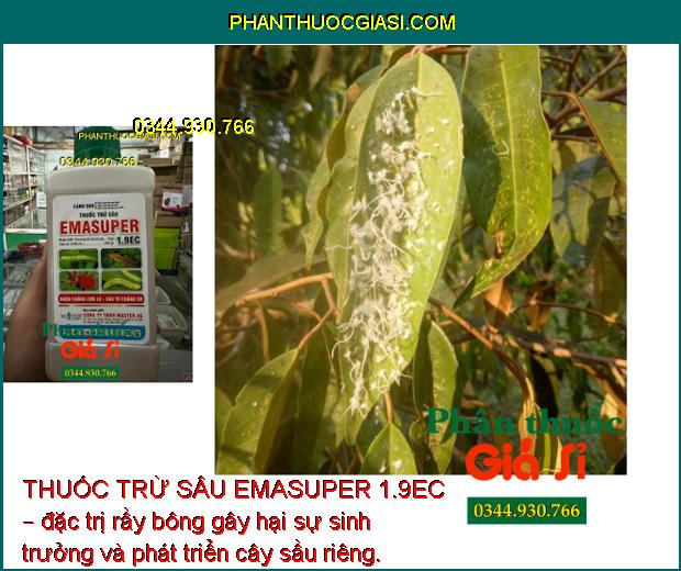 THUỐC TRỪ SÂU EMASUPER 1.9EC – ĐẶC TRỊ SÂU - NHỆN HẠI CÂY TRỒNG 