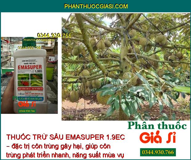 THUỐC TRỪ SÂU EMASUPER 1.9EC – ĐẶC TRỊ SÂU - NHỆN HẠI CÂY TRỒNG 