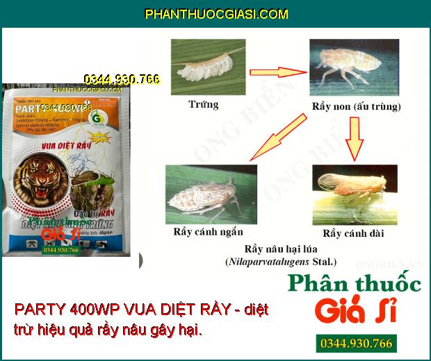 PARTY 400WP VUA DIỆT RẦY - ĐẶC TRỊ SÂU - RẦY HẠI CÂY TRỒNG