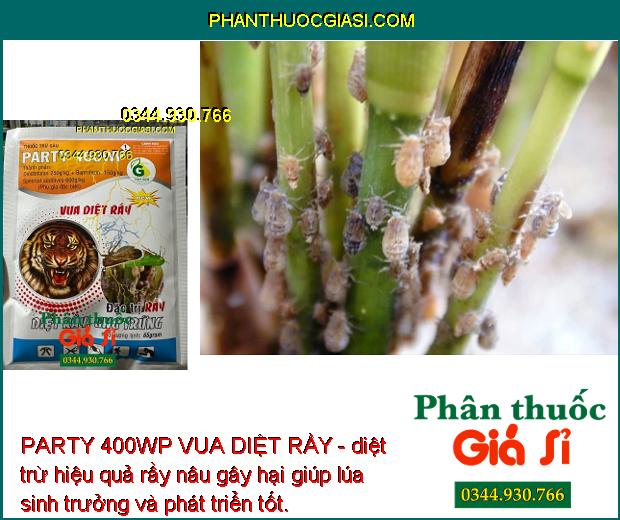 PARTY 400WP VUA DIỆT RẦY - ĐẶC TRỊ SÂU - RẦY HẠI CÂY TRỒNG