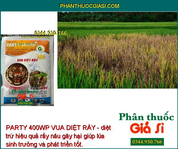 PARTY 400WP VUA DIỆT RẦY - ĐẶC TRỊ SÂU - RẦY HẠI CÂY TRỒNG