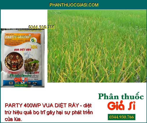 PARTY 400WP VUA DIỆT RẦY - ĐẶC TRỊ SÂU - RẦY HẠI CÂY TRỒNG