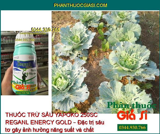 THUỐC TRỪ SÂU YAPOKO 250SC REGANL ENERCY GOLD – ĐẶC TRỊ RẦY NÂU GÂY HẠI