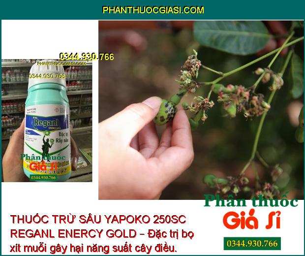 THUỐC TRỪ SÂU YAPOKO 250SC REGANL ENERCY GOLD – ĐẶC TRỊ RẦY NÂU GÂY HẠI