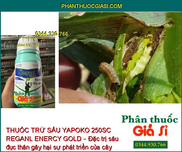 THUỐC TRỪ SÂU YAPOKO 250SC REGANL ENERCY GOLD – ĐẶC TRỊ RẦY NÂU GÂY HẠI