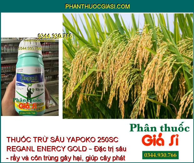 THUỐC TRỪ SÂU YAPOKO 250SC REGANL ENERCY GOLD – ĐẶC TRỊ RẦY NÂU GÂY HẠI