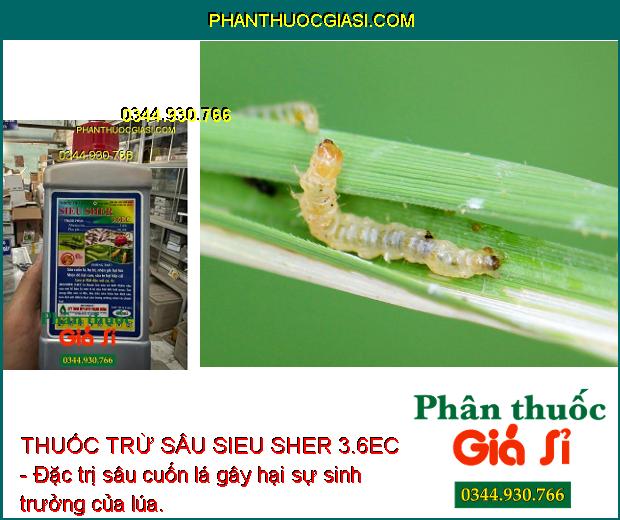 THUỐC TRỪ SÂU SIEU SHER 3.6EC - ĐẶC TRỊ SÂU - BỌ TRĨ HẠI CÂY TRỒNG