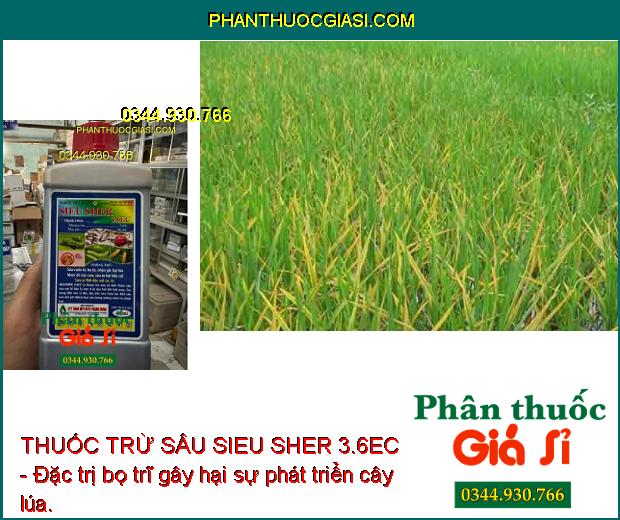 THUỐC TRỪ SÂU SIEU SHER 3.6EC - ĐẶC TRỊ SÂU - BỌ TRĨ HẠI CÂY TRỒNG