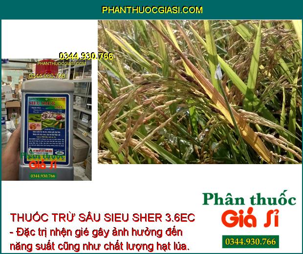 THUỐC TRỪ SÂU SIEU SHER 3.6EC - ĐẶC TRỊ SÂU - BỌ TRĨ HẠI CÂY TRỒNG