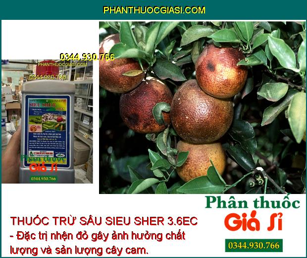 THUỐC TRỪ SÂU SIEU SHER 3.6EC - ĐẶC TRỊ SÂU - BỌ TRĨ HẠI CÂY TRỒNG