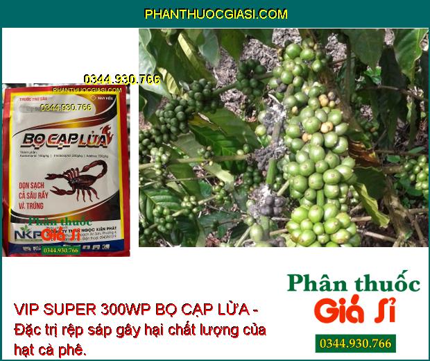 VIP SUPER 300WP BỌ CẠP LỬA -THUỐC ĐẶC TRỊ SÂU RẦY - TRỨNG CÔN TRÙNG CHÍCH HÚT