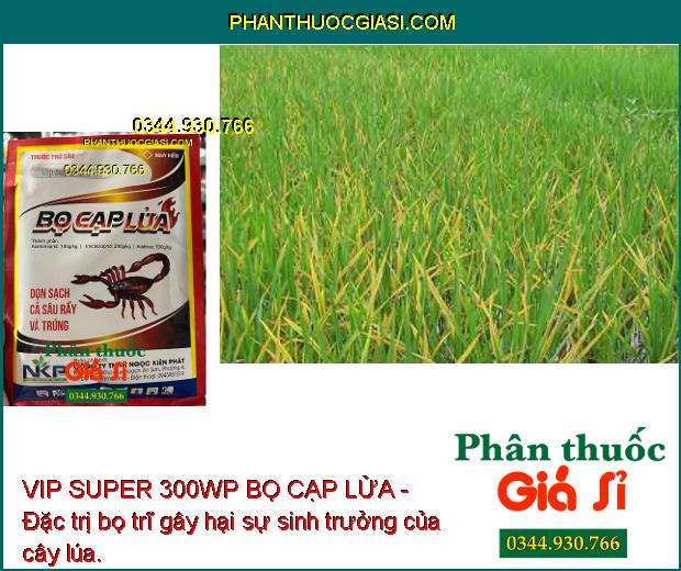 VIP SUPER 300WP BỌ CẠP LỬA -THUỐC ĐẶC TRỊ SÂU RẦY - TRỨNG CÔN TRÙNG CHÍCH HÚT