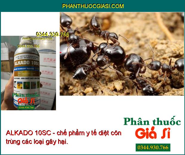 ALKADO 10SC - chế phẩm y tế diệt côn trùng các loại gây hại. 