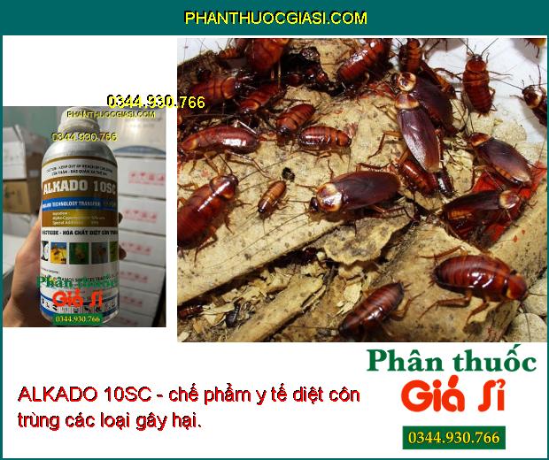 ALKADO 10SC - chế phẩm y tế diệt côn trùng các loại gây hại. 