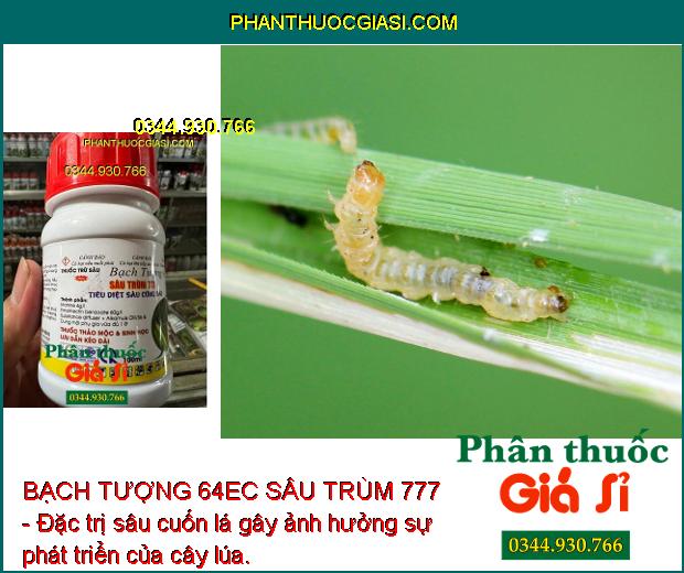 BẠCH TƯỢNG 64EC SÂU TRÙM 777 - ĐẶC TRỊ NHỆN ĐỎ - RẦY NÂU - NHỆN GIÉ - SÂU XANH