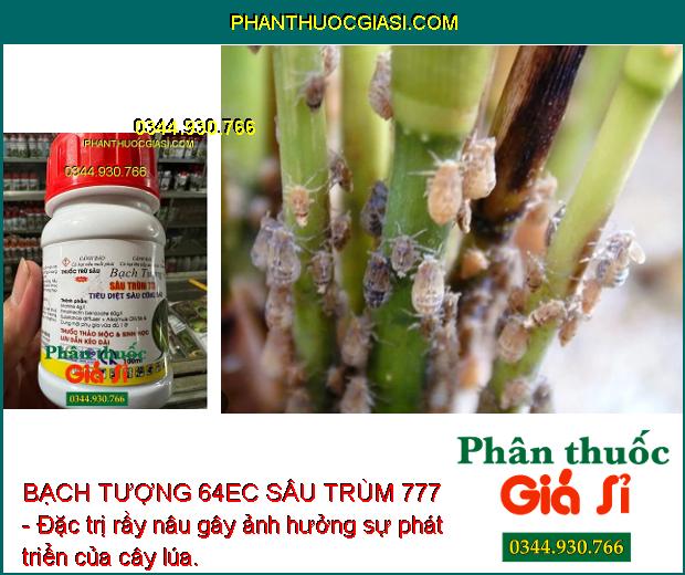 BẠCH TƯỢNG 64EC SÂU TRÙM 777 - ĐẶC TRỊ NHỆN ĐỎ - RẦY NÂU - NHỆN GIÉ - SÂU XANH