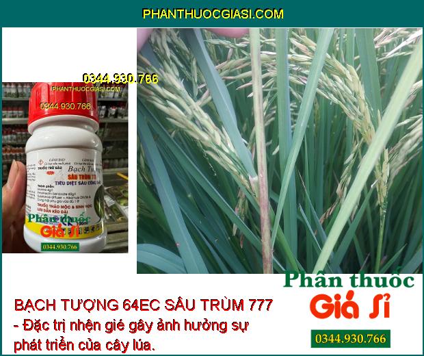 BẠCH TƯỢNG 64EC SÂU TRÙM 777 - ĐẶC TRỊ NHỆN ĐỎ - RẦY NÂU - NHỆN GIÉ - SÂU XANH